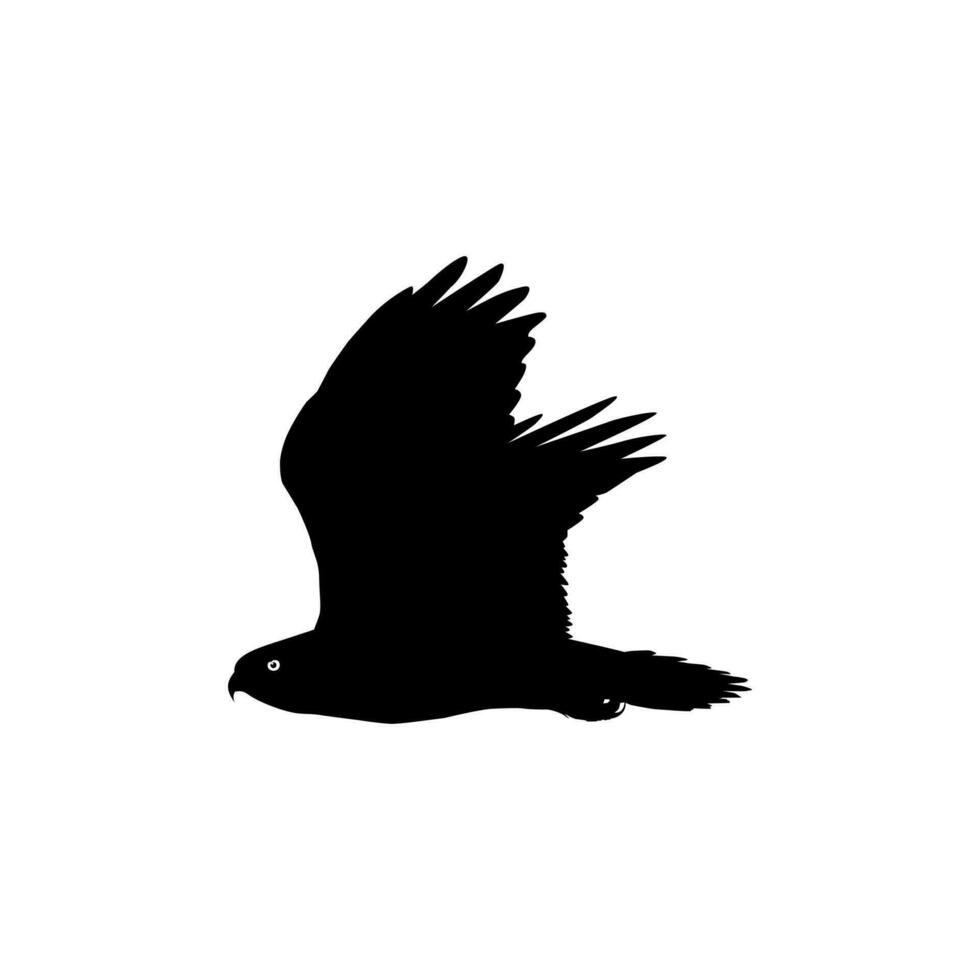 Silhouette of the Flying Bird of Prey, Falcon or Hawk, for Logo, Pictogram, Website, Art Illustration, or Graphic Design Element. Vector Illustration