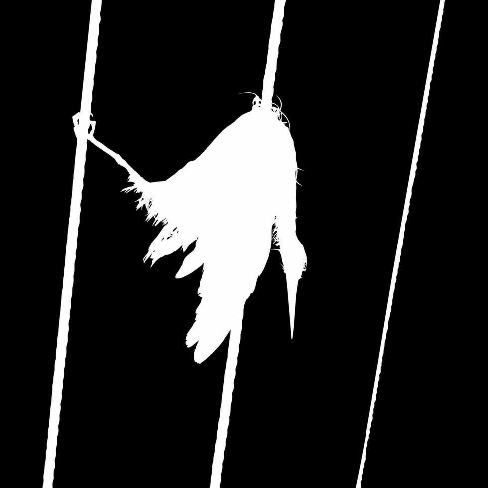 Dead Bird on the Electrical Wire Silhouette Illustration Based on My Photography. Vector Illustration