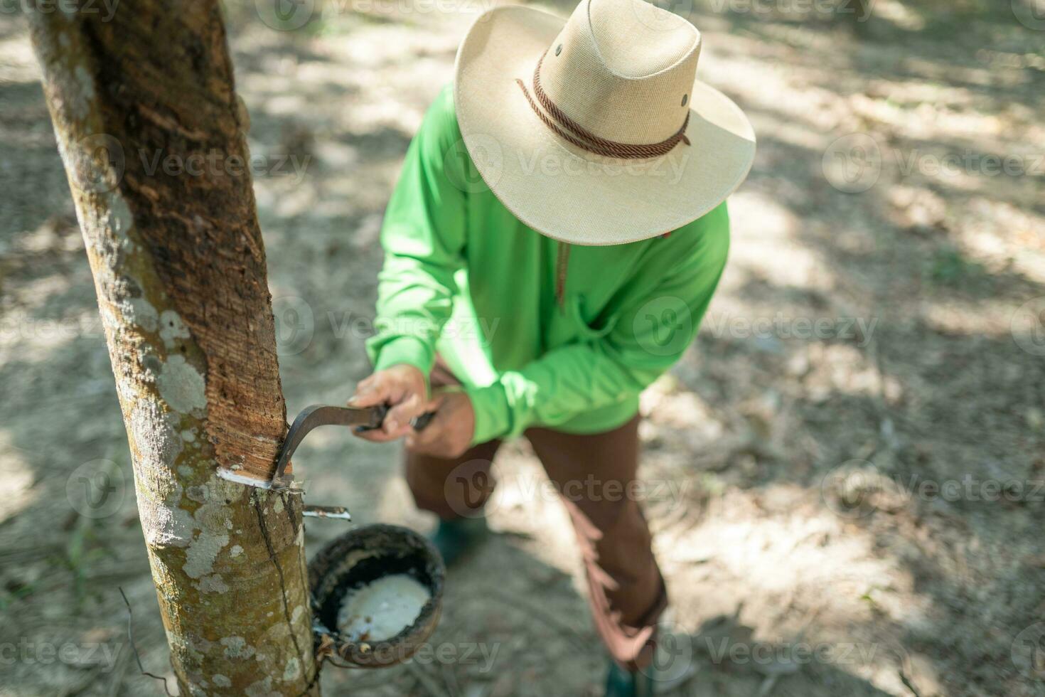 Top view Farmers tapping rubber photo