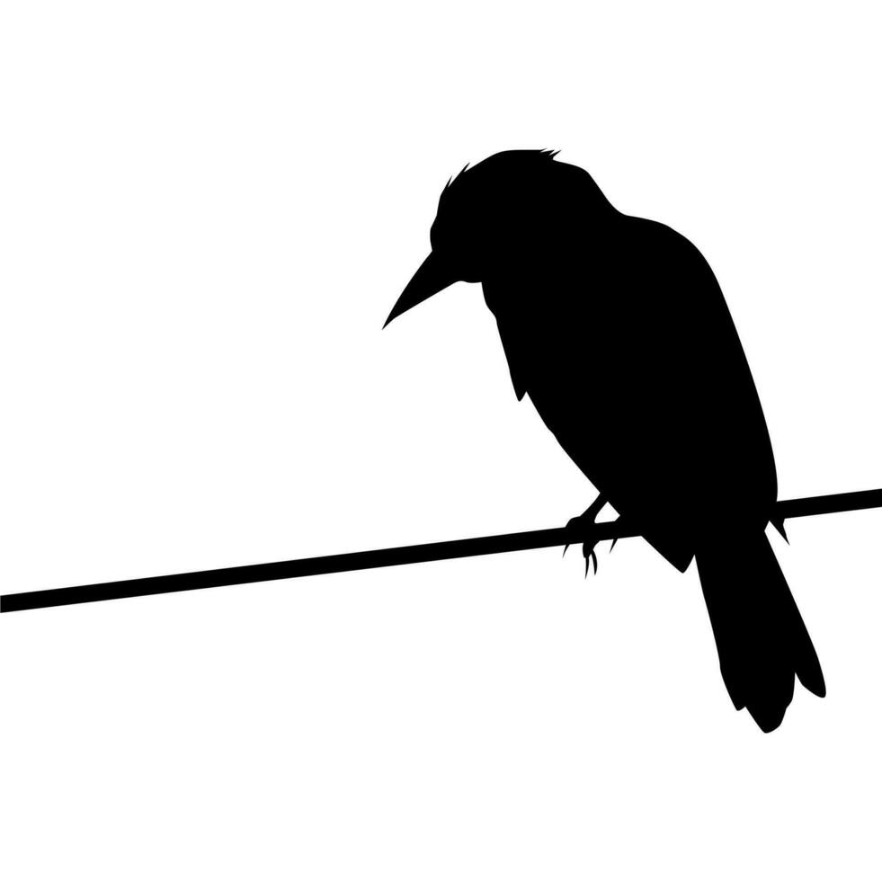 Silhouette of the Bird Perched on the Electrical Wire Base on my Photography. Vector Illustration