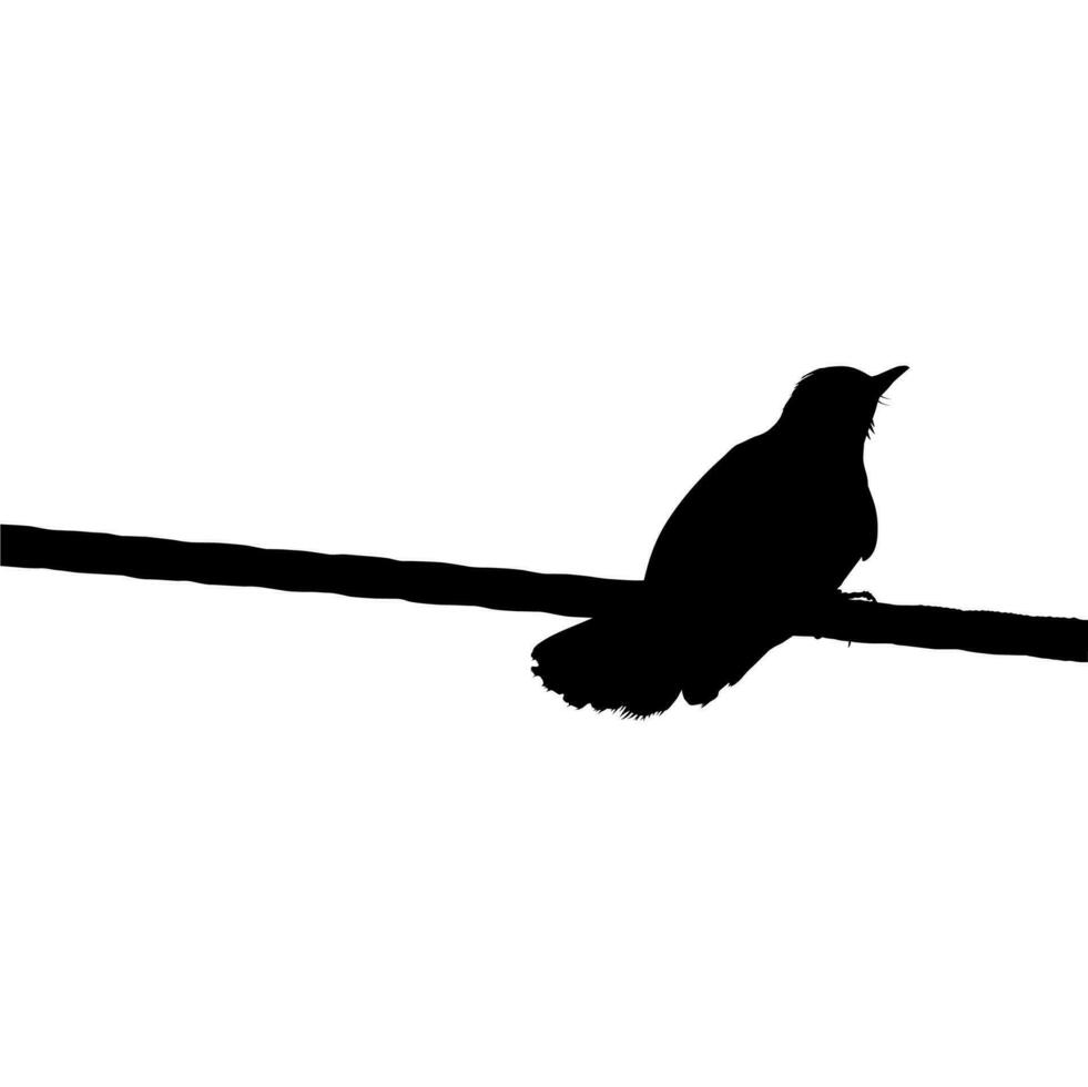 Silhouette of the Bird Perched on the Electrical Wire Base on my Photography. Vector Illustration