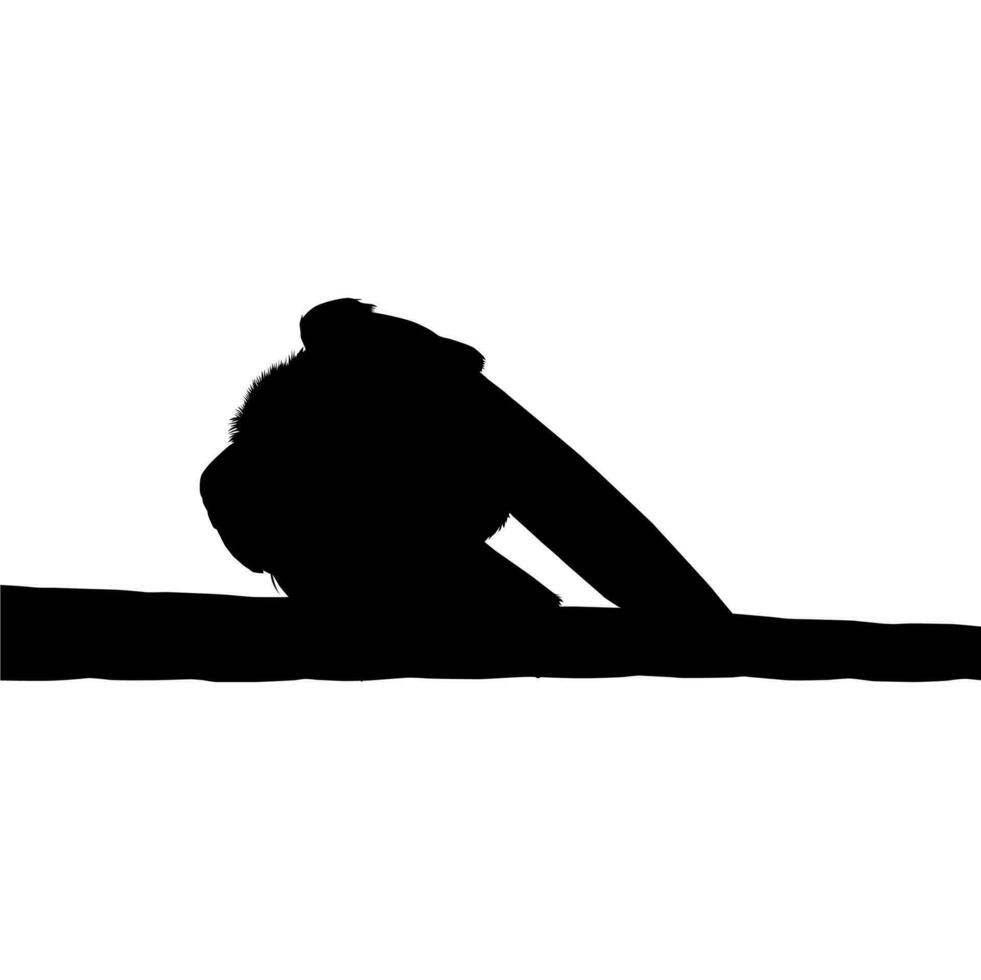 Silhouette of the Bird Perched on the Electrical Wire Base on my Photography. Vector Illustration