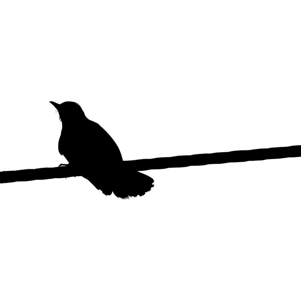 Silhouette of the Bird Perched on the Electrical Wire Base on my Photography. Vector Illustration