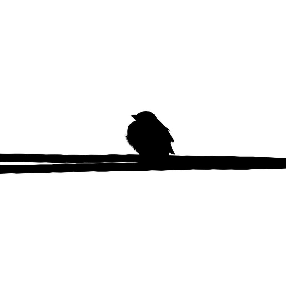 Silhouette of the Bird Perched on the Electrical Wire Base on my Photography. Vector Illustration