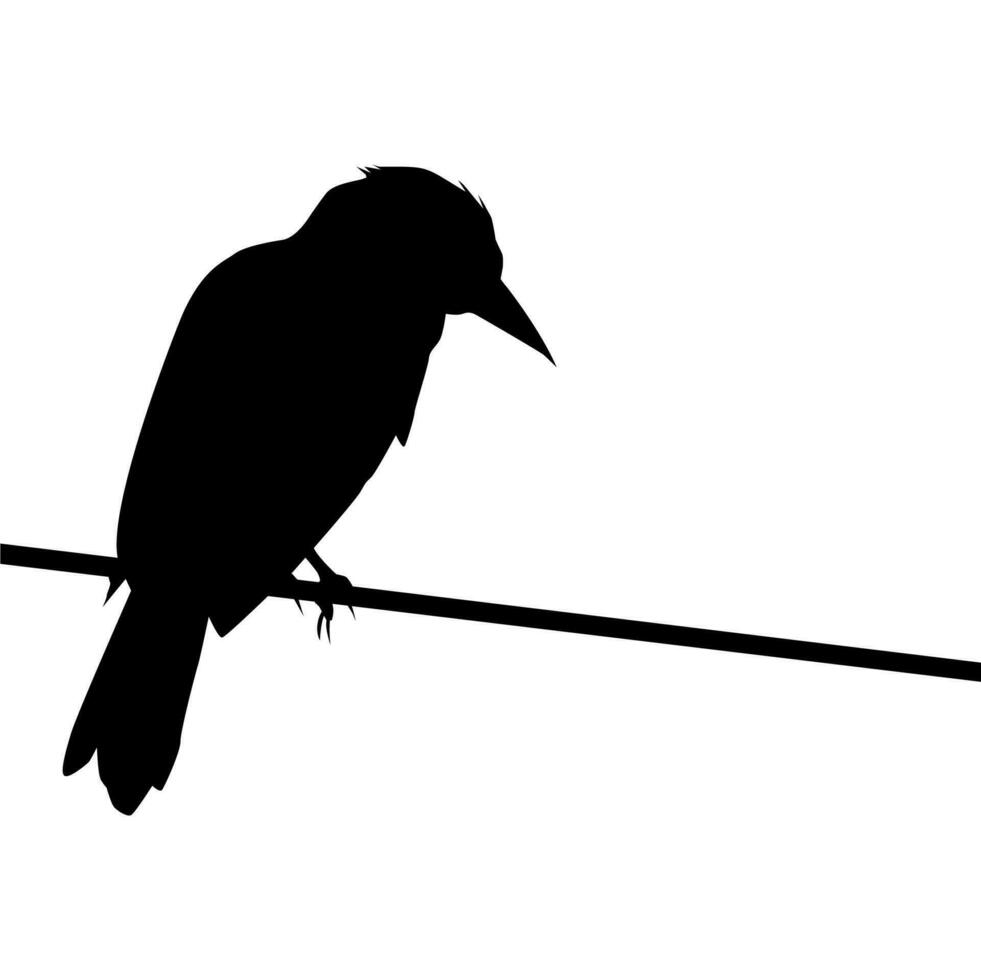 silueta de el pájaro encaramado en el eléctrico cable base en mi fotografía. vector ilustración