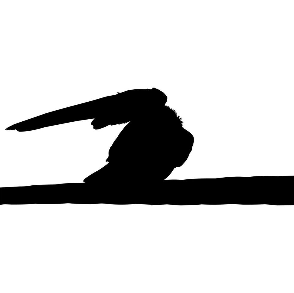 Silhouette of the Bird Perched on the Electrical Wire Base on my Photography. Vector Illustration