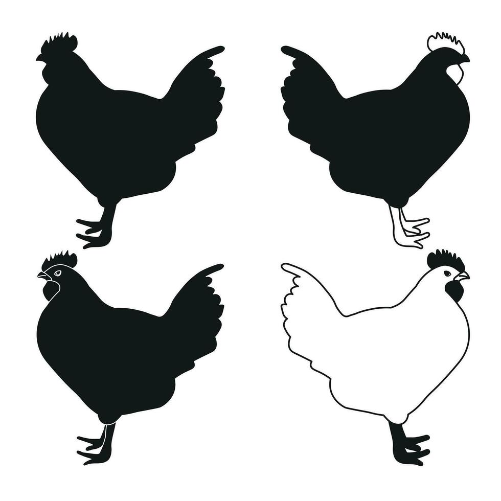 gallo, pollo, gallina, polluelo, posición de pie, aves de corral silueta mano dibujado vector