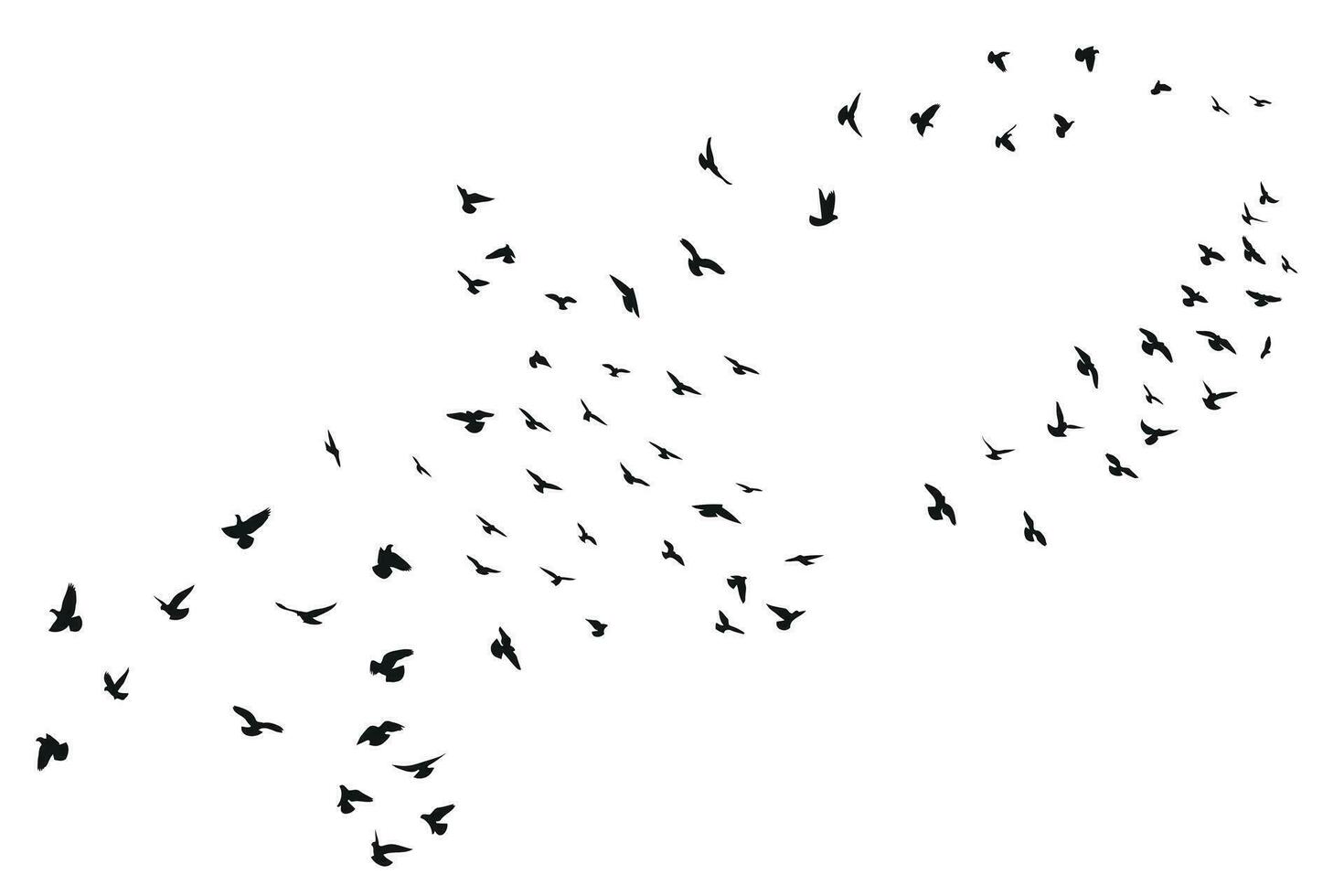 Silhouette sketch of a flock of flying forward birds. Takeoff, flying, flight, flutter, hover, soaring, landing vector