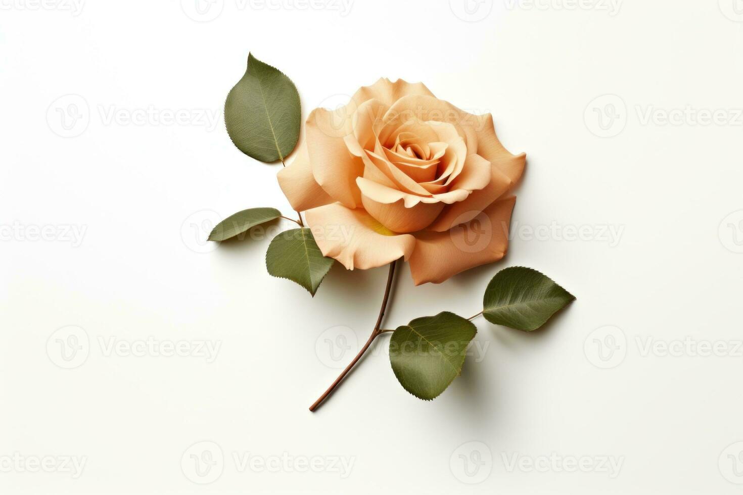 AI Generated A single rose with green leaves on a white surface, AI photo