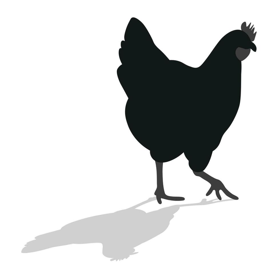 gallo, pollo, gallina, polluelo, posición de pie, aves de corral silueta mano dibujado vector