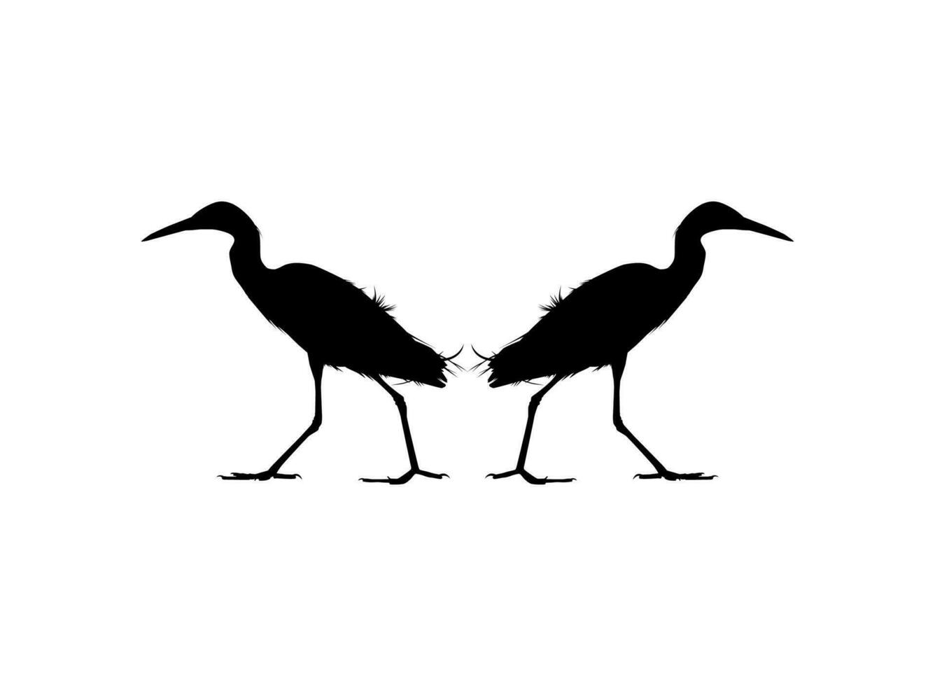 Pair of The Black Heron Bird, Egretta Ardesiaca, also known as the Black Egret Silhouette for Art Illustration, Logo, Pictogram, Website, or Graphic Design Element. Vector Illustration