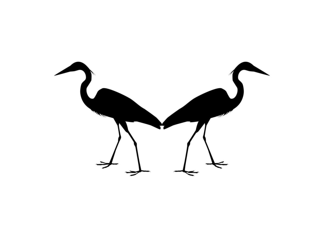 Pair of The Black Heron Bird, Egretta Ardesiaca, also known as the Black Egret Silhouette for Art Illustration, Logo, Pictogram, Website, or Graphic Design Element. Vector Illustration