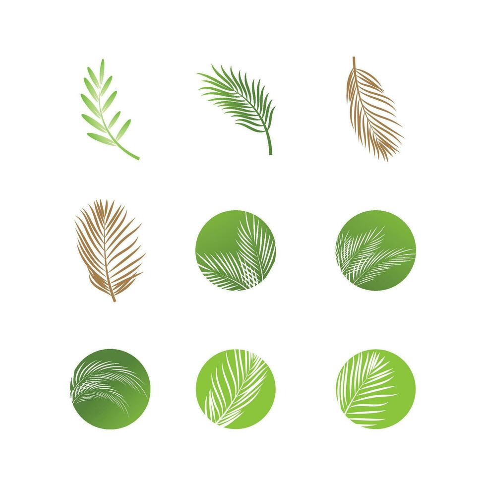 Leaf palm logo vector template symbol and design