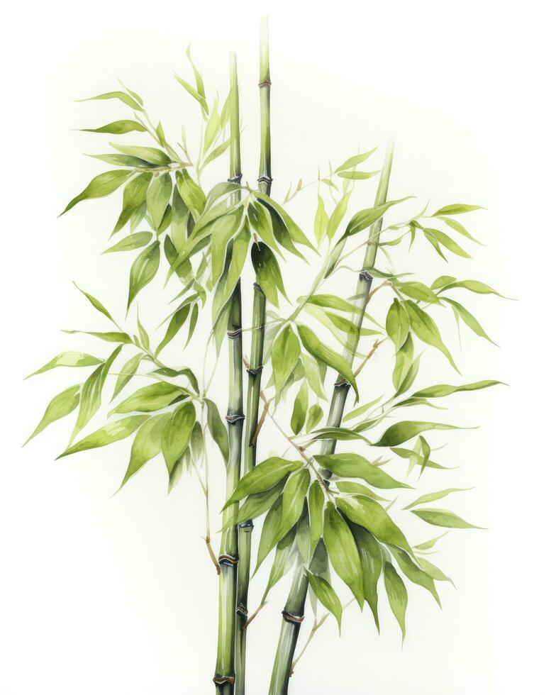 AI generated Watercolor bamboo clipart isolated on white background. AI Generated photo