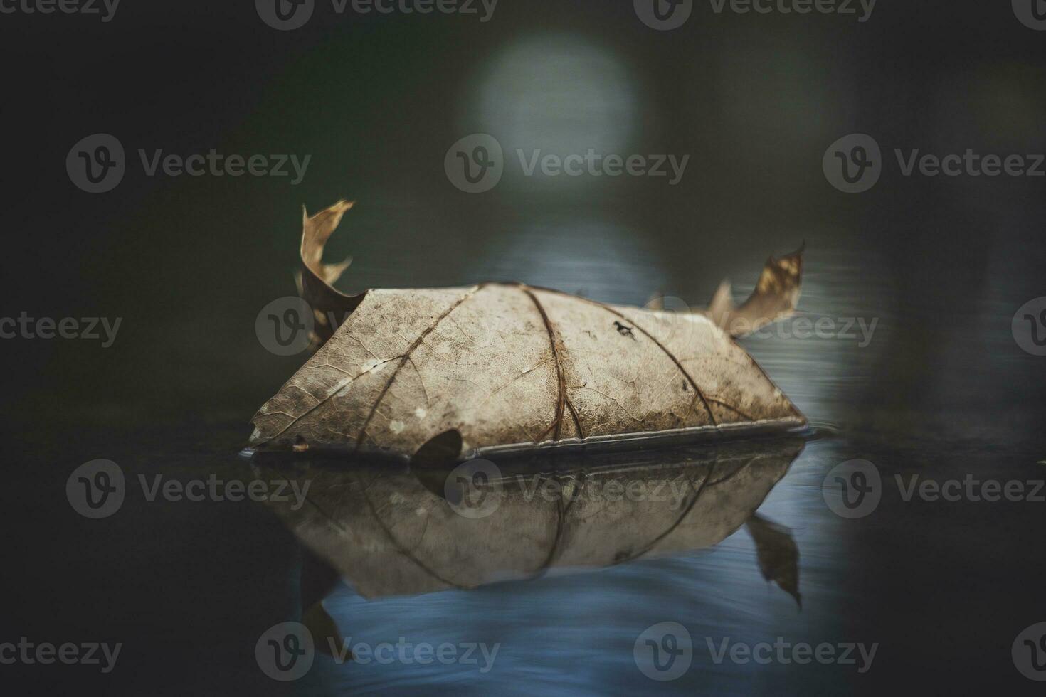 Vertical closeup shot of Autumn leaf in quiet water with reflections and blurry background. photo