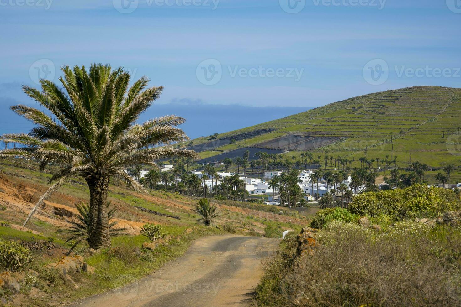 View on Haria on Lanzarote and the valley of the thousand palms. photo