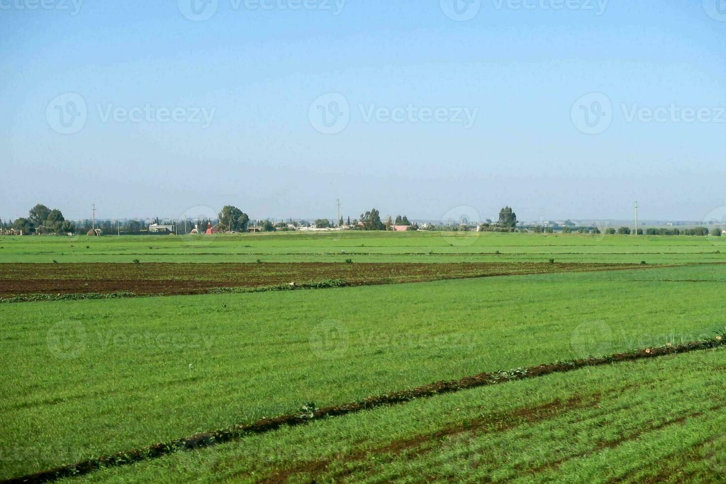 a large field with green grass photo