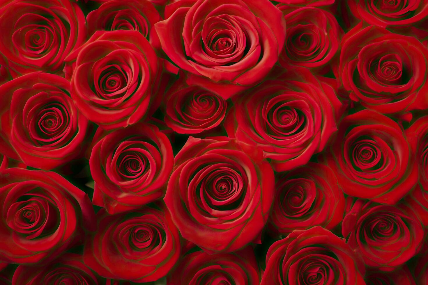 AI generated Red Rose Background for Valentine's Day. AI Generated photo
