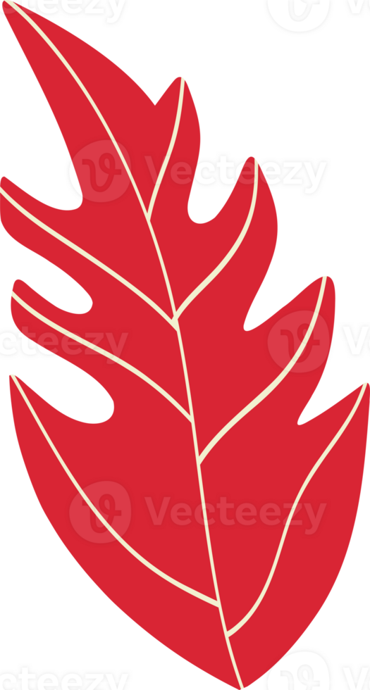 Red cartoon leaf illustration png