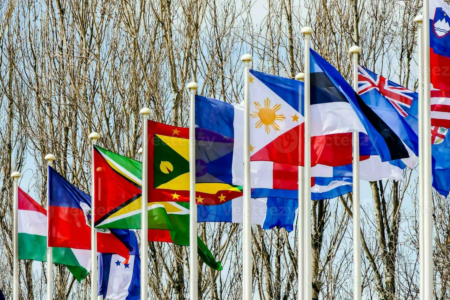 many different flags are flying in the air photo