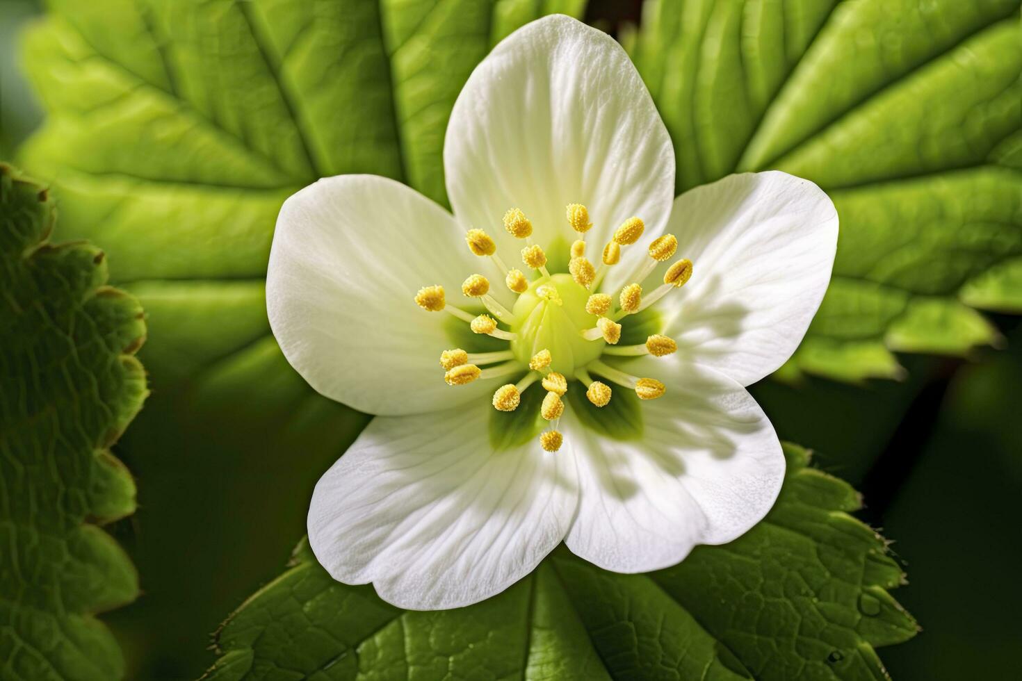 ai generado fresa flor. ai generado foto