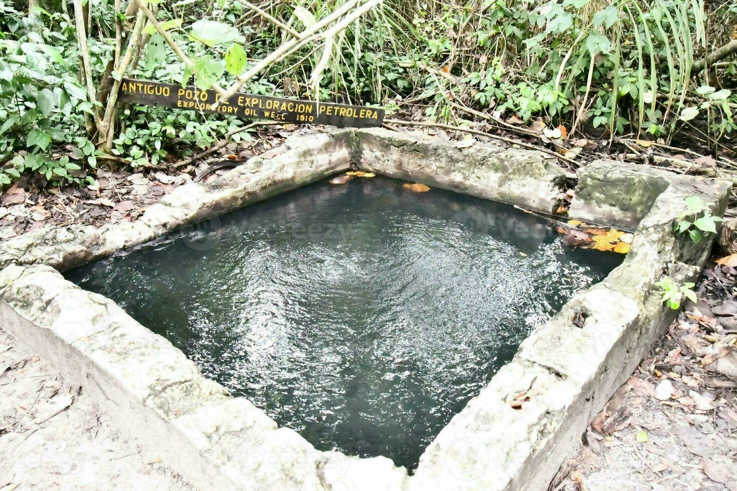 a small pool in the middle of the jungle photo