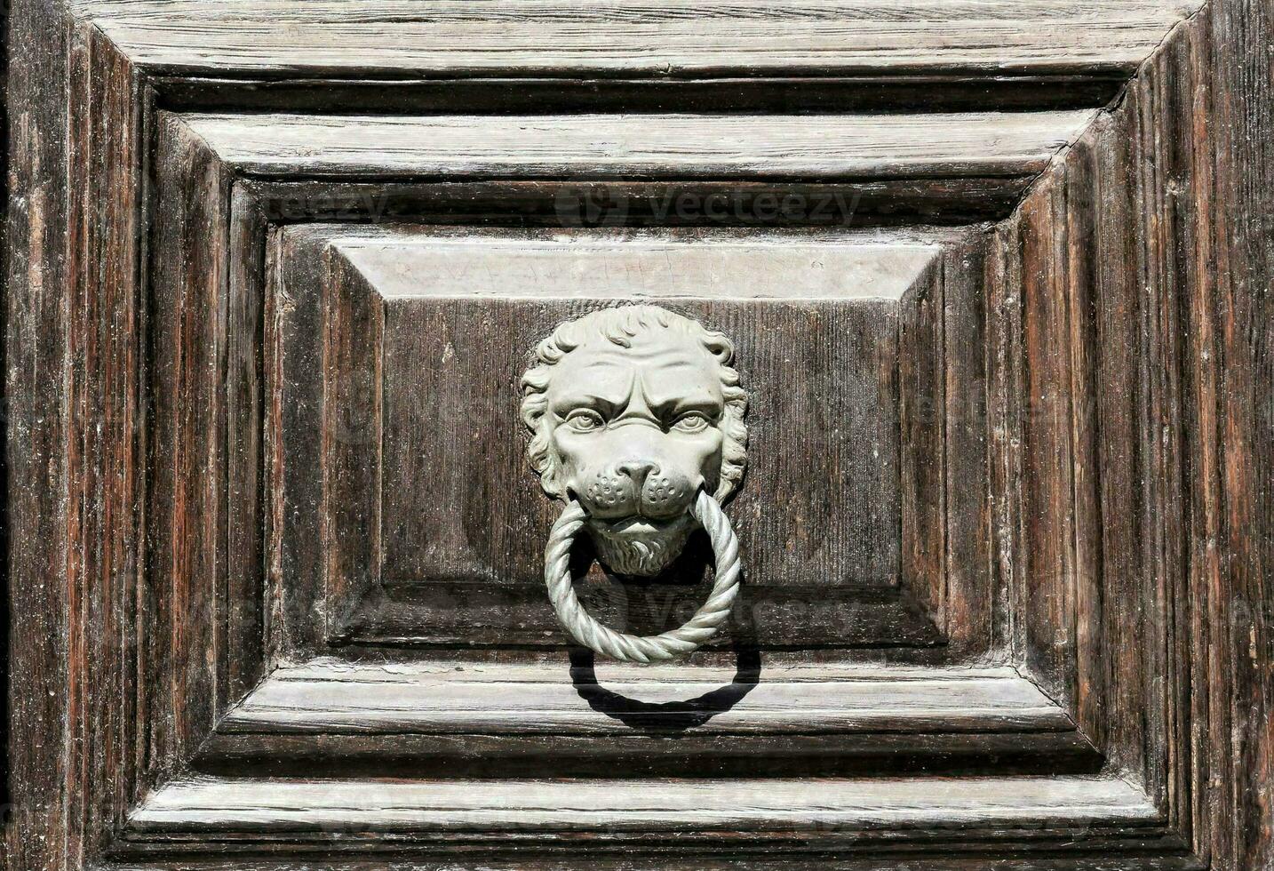 a lion head on a wooden door photo