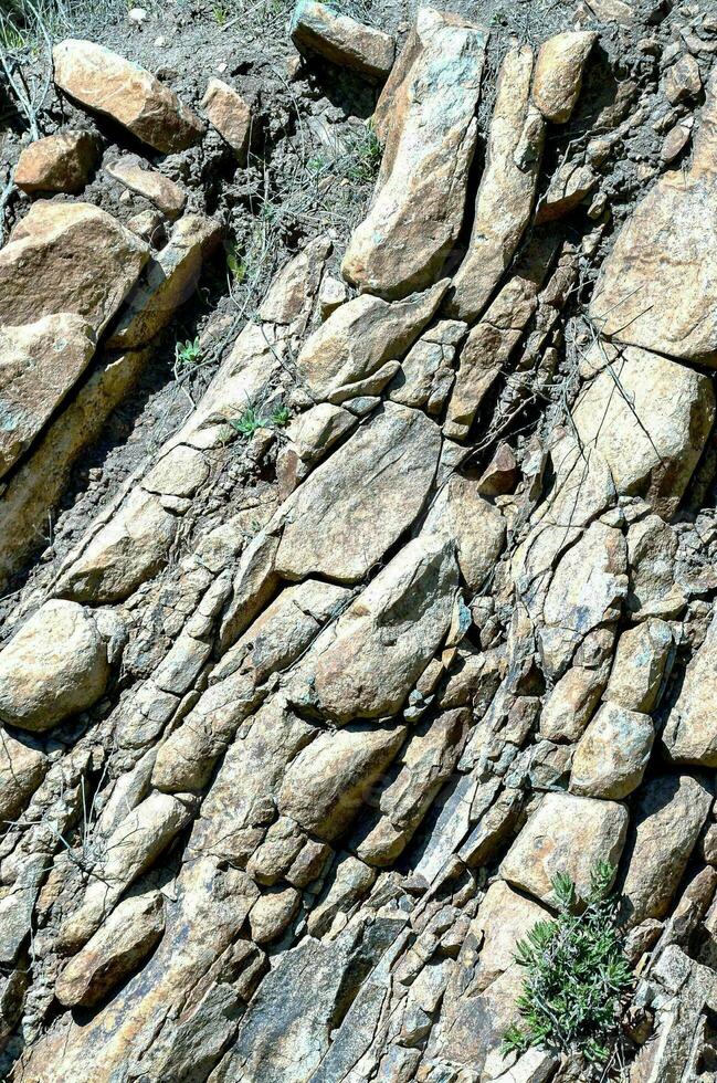 a rock wall with many different types of rocks photo