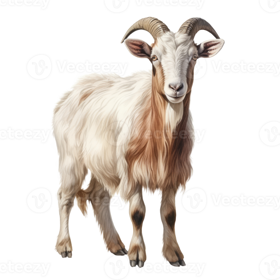 AI generated Goat isolated on transparent background, created with generative AI png