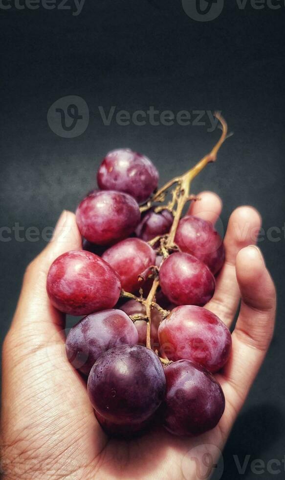 cerca arriba ver de hombre participación un puntilla de uvas estaba fotografiado con el concepto de dando un ligero efecto a el uvas foto