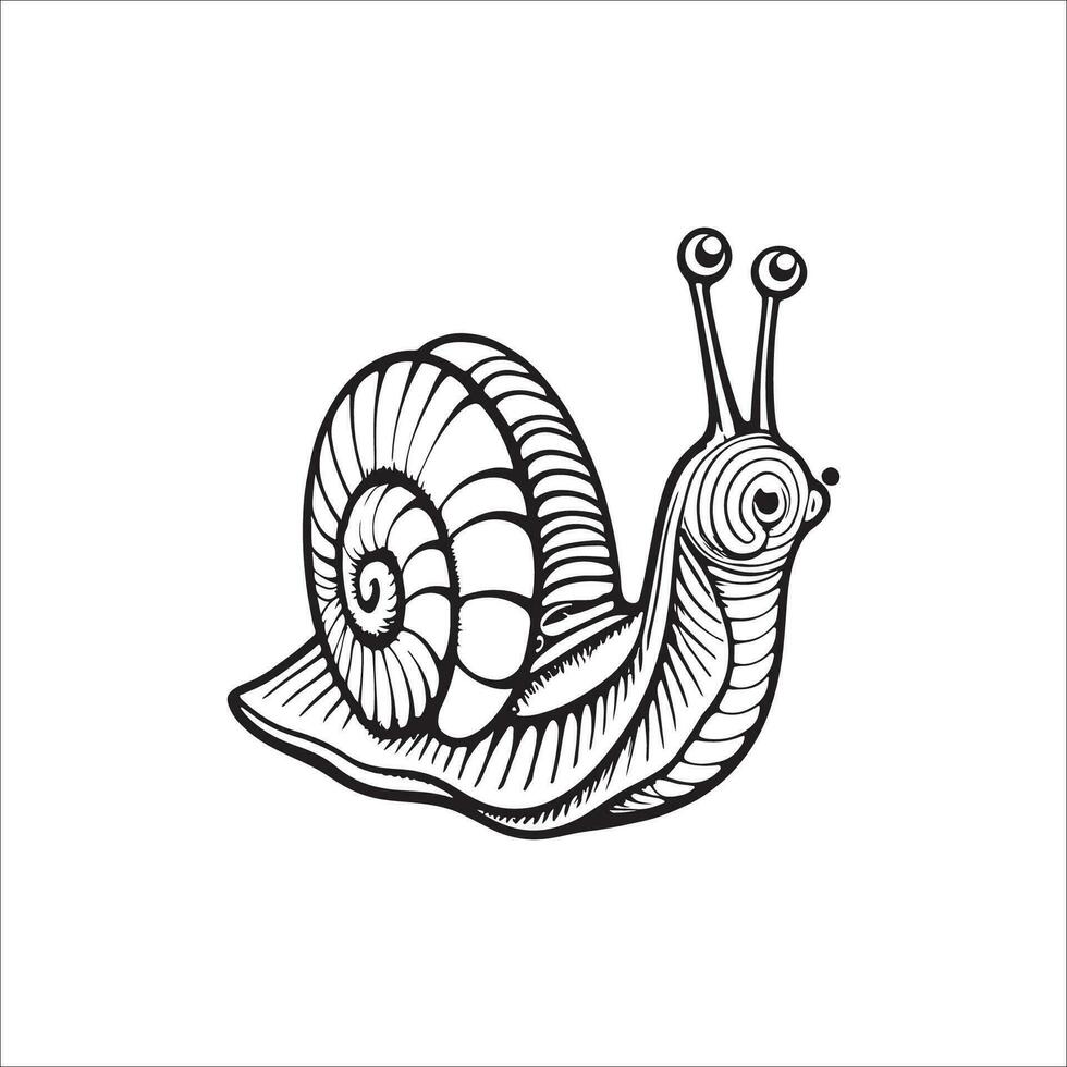 Snail cartoon coloring page illustration vector for kids coloring book