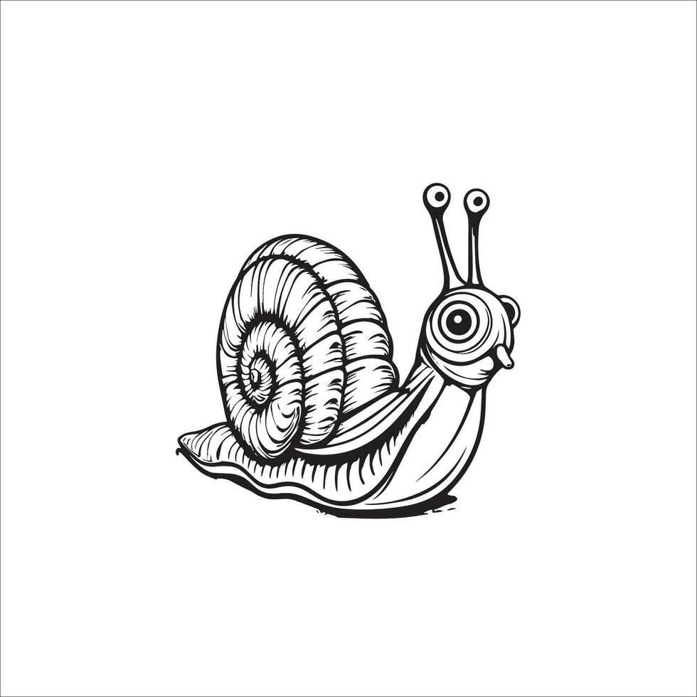 caracol dibujos animados colorante página ilustración vector para niños colorante libro