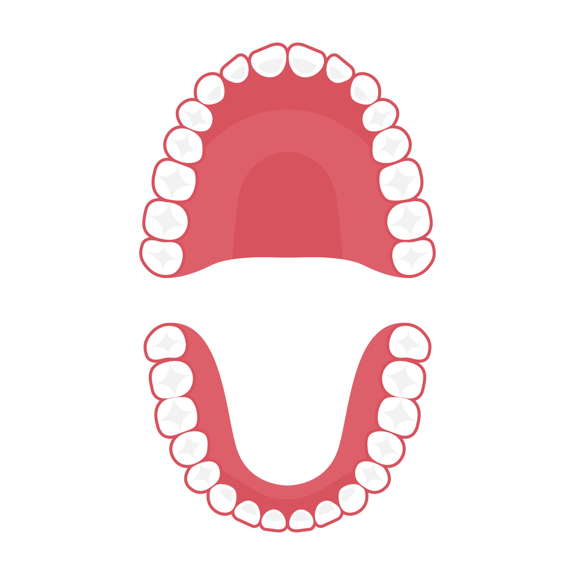 Unveiling The Secrets Of Primate Teeth: The Upper Jaw Formula - h31i5vo