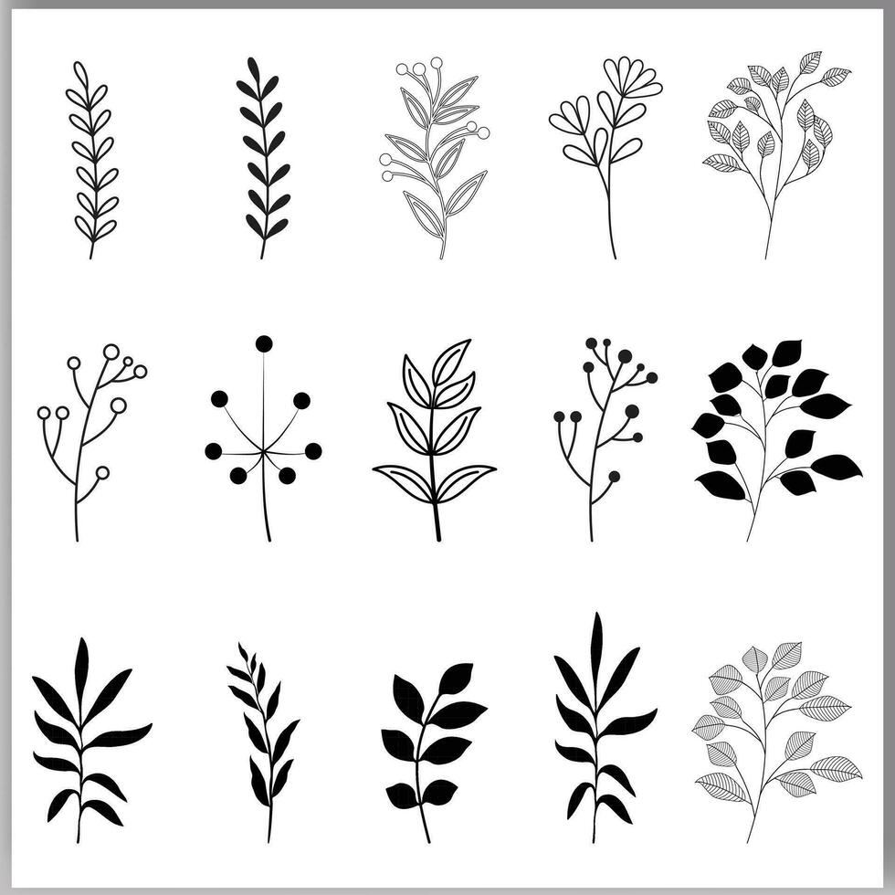 Botanical abstract line art, hand-drawn bouquets of herbs flowers branches vector