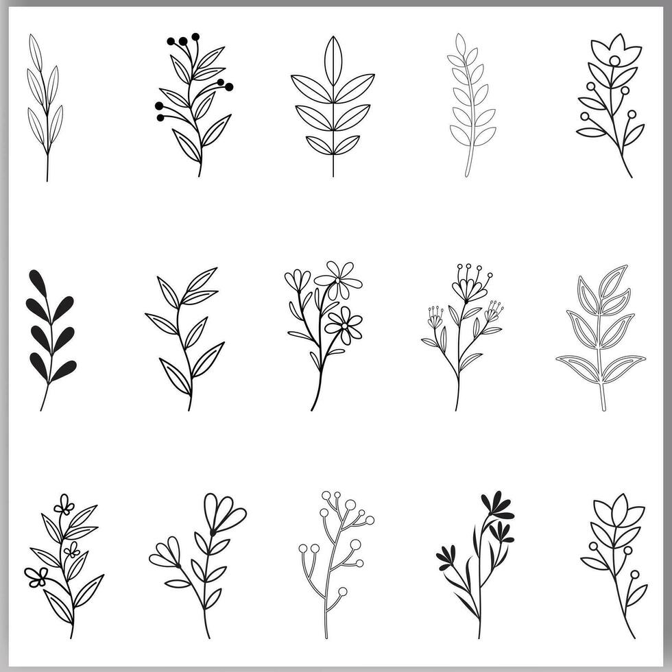 Botanical abstract line art, hand-drawn bouquets of herbs flowers branches vector