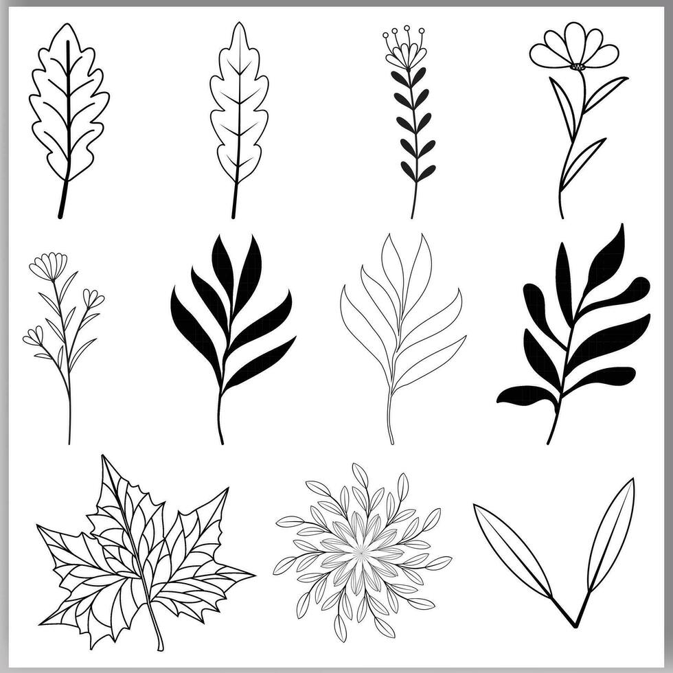 Set of botanical line art floral leaves plants hand drawn sketch branches isolated on white vector