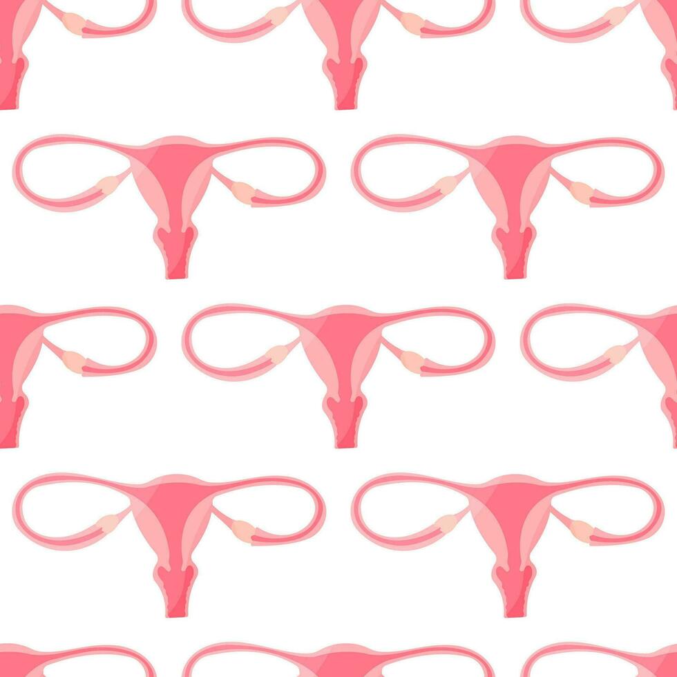uterus organ woman vector cycle pattern textile