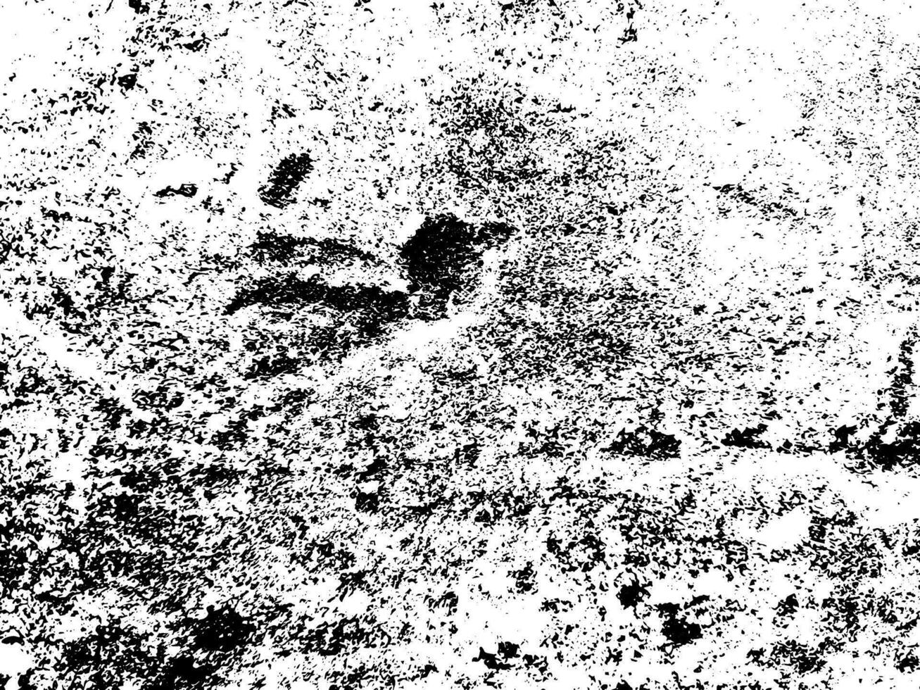 Abstract vector grunge texture