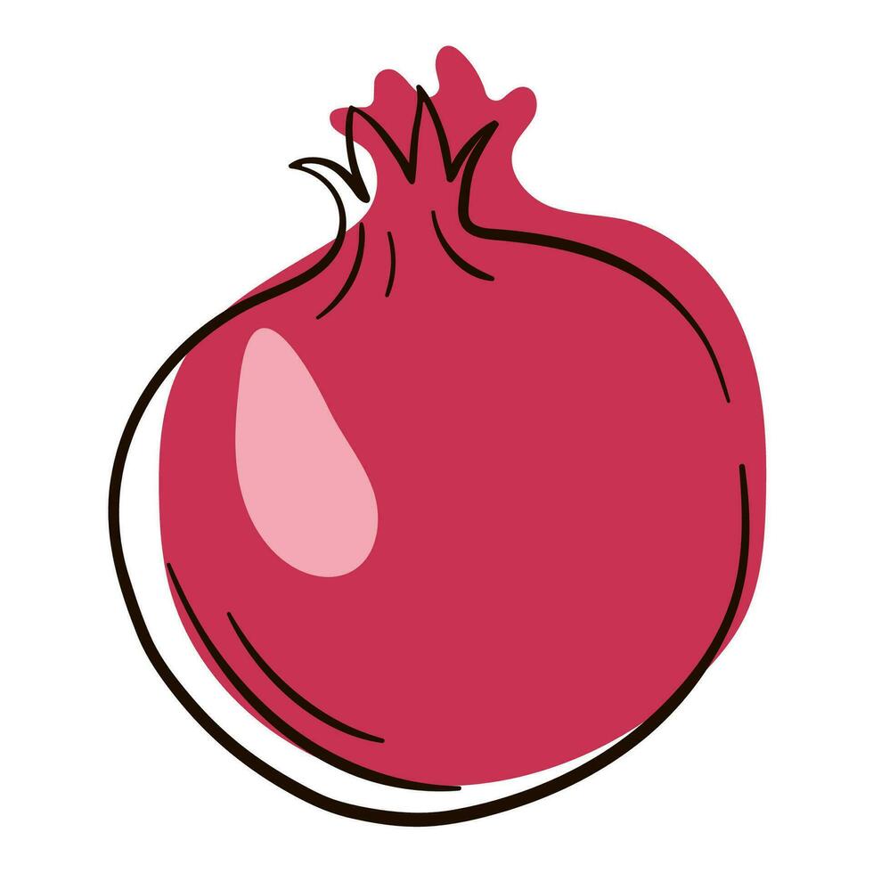 Pomegranate fruit line art. Pomegranate drawing style. Pomegranate contour with color. Flat isolated illustration. vector