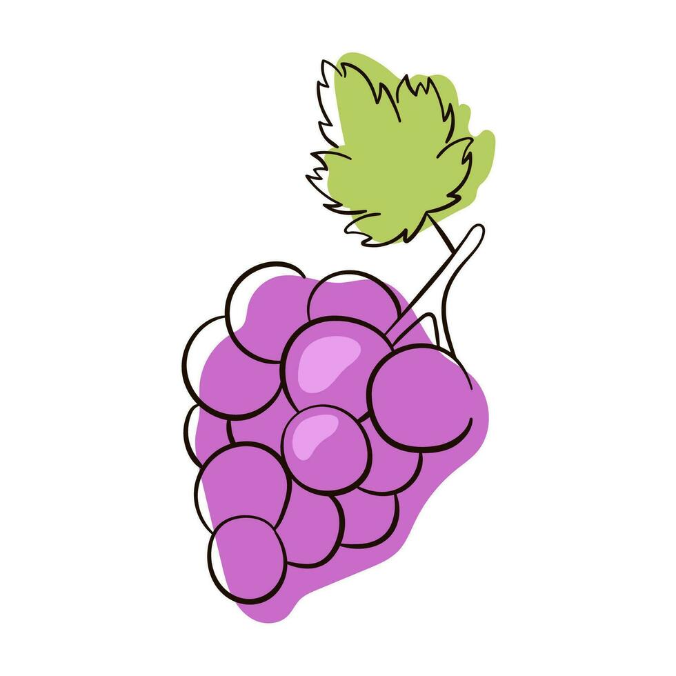 Bunch of wine grapes with leaf flat purple vector icon. Hand drawn grapes sketch. Purple grapes Vector illustration.