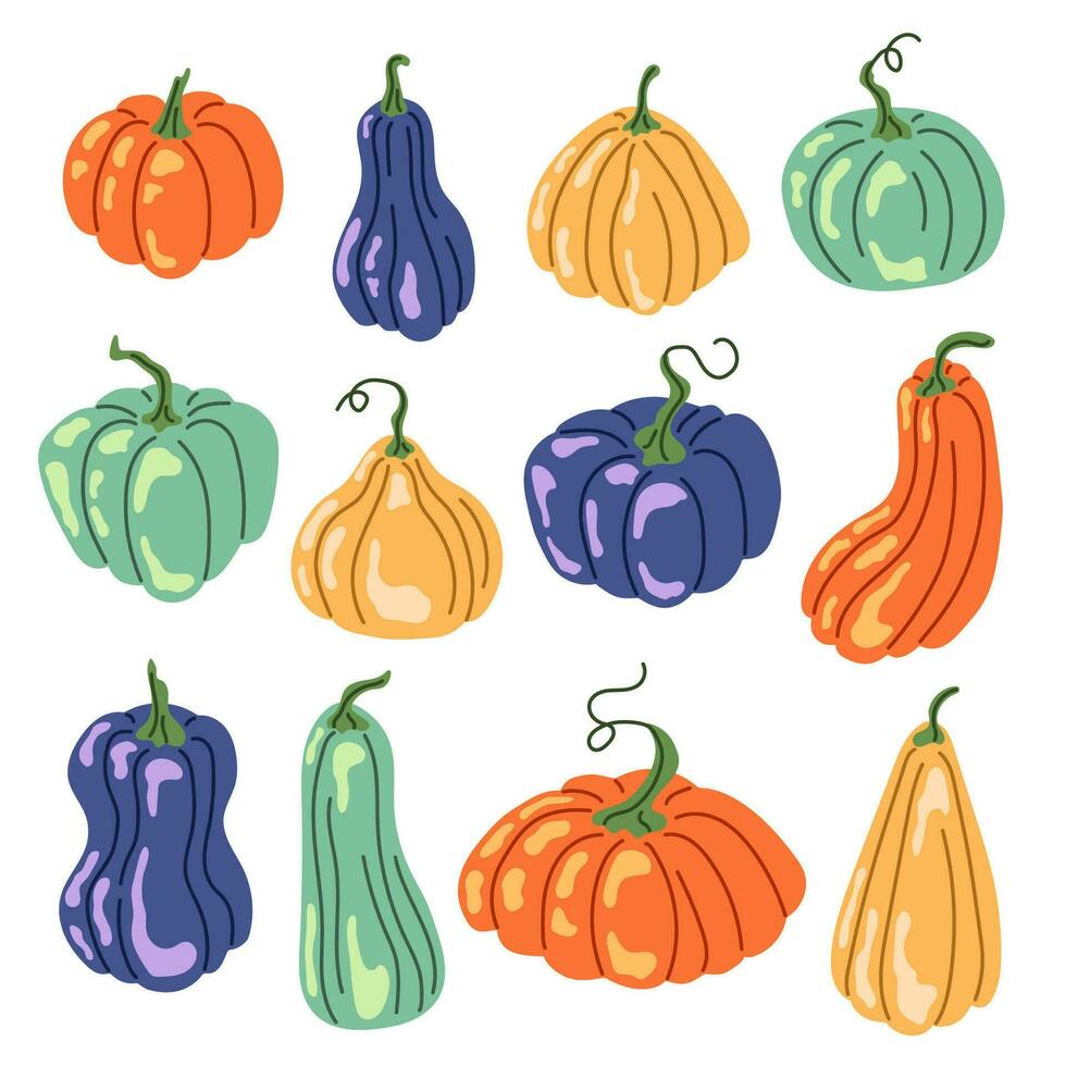 calabaza otoño conjunto en dibujos animados estilo. acción de gracias y Víspera de Todos los Santos recopilación. vector ilustración aislado en un blanco antecedentes.