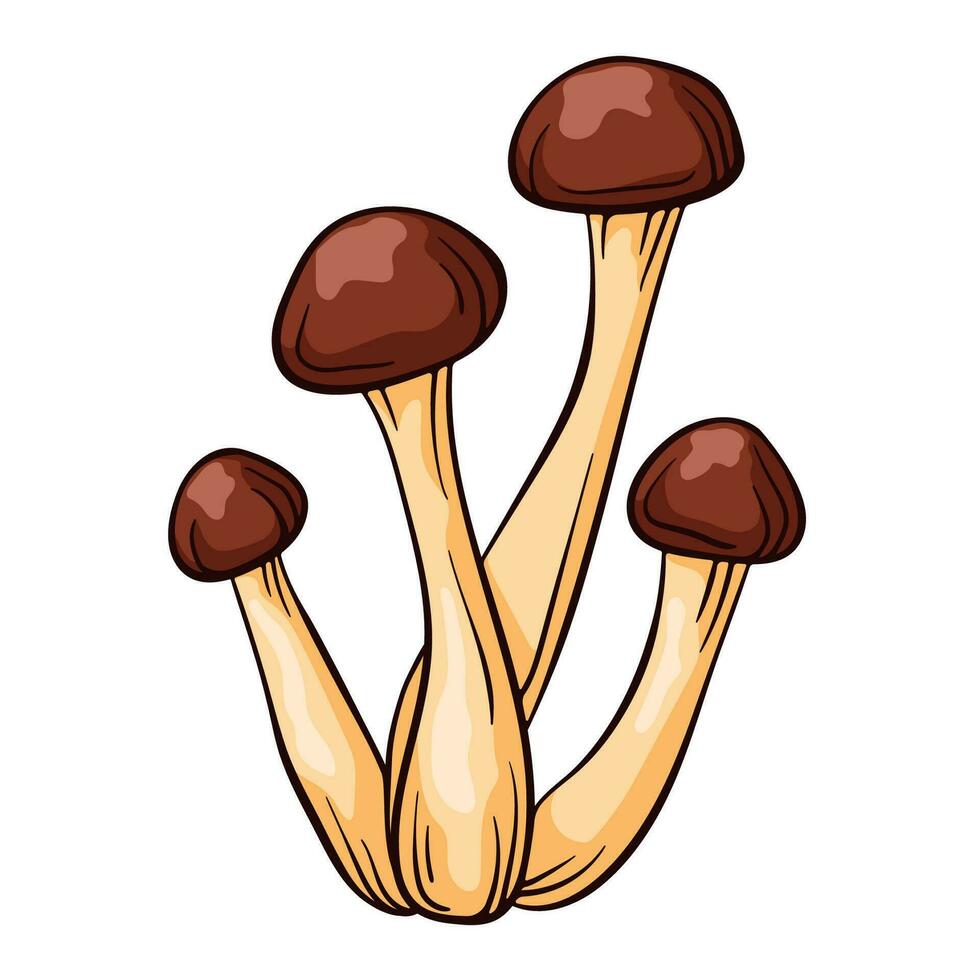 miel agárico en dibujos animados estilo. armillaria bosquejo, mano dibujado. vector ilustración aislado en un blanco antecedentes.