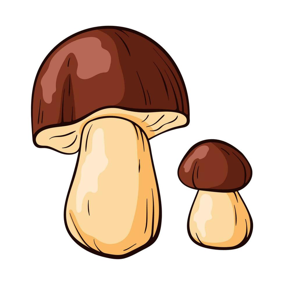 Mushroom boletus in cartoon style. Sketch hand drawn food drawing. Vector illustration isolated on a white background.