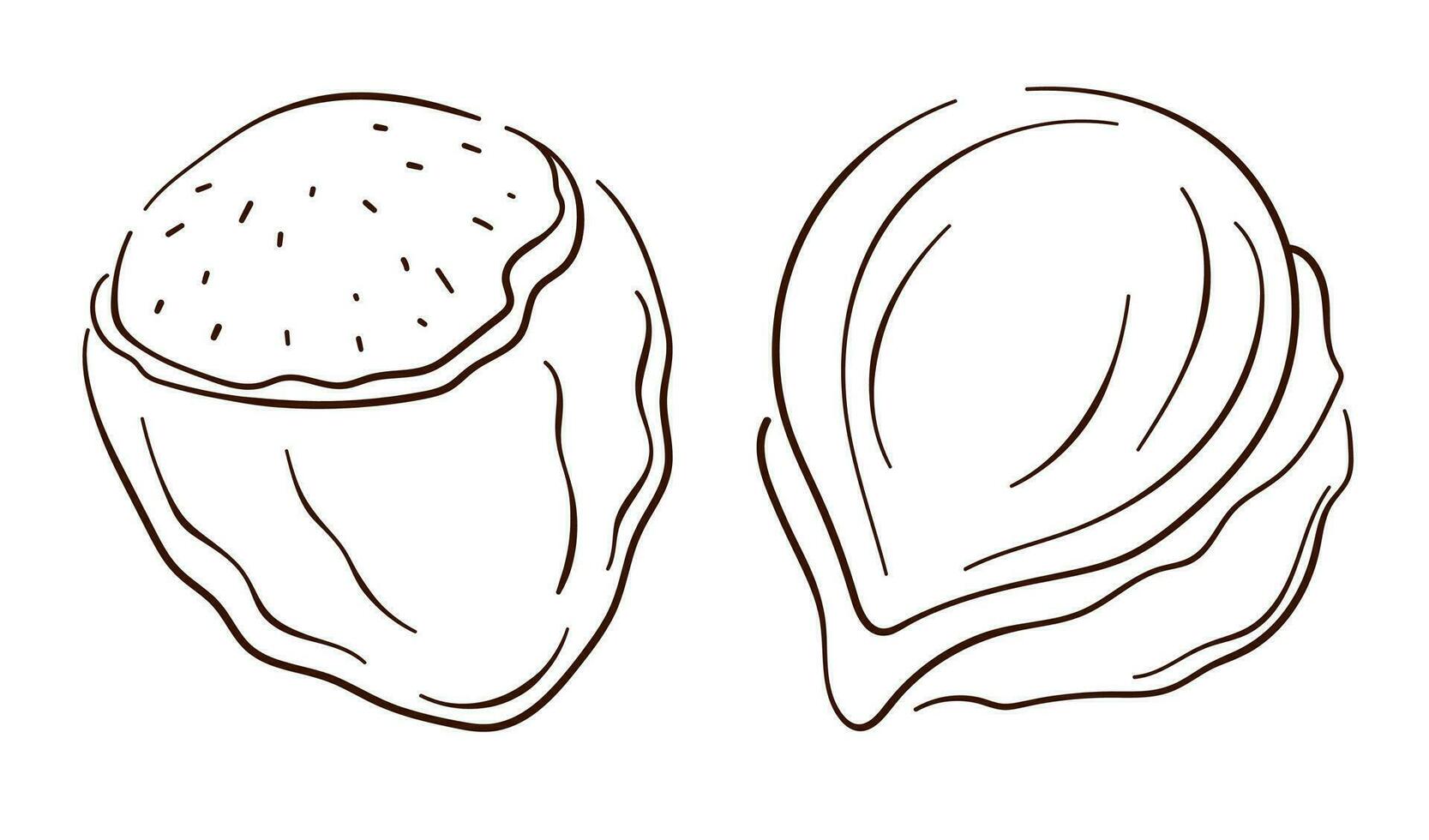 Hazelnut icon in line art style. Nuts in shell and peeled in sketch style. Vector illustration isolated on a white background.