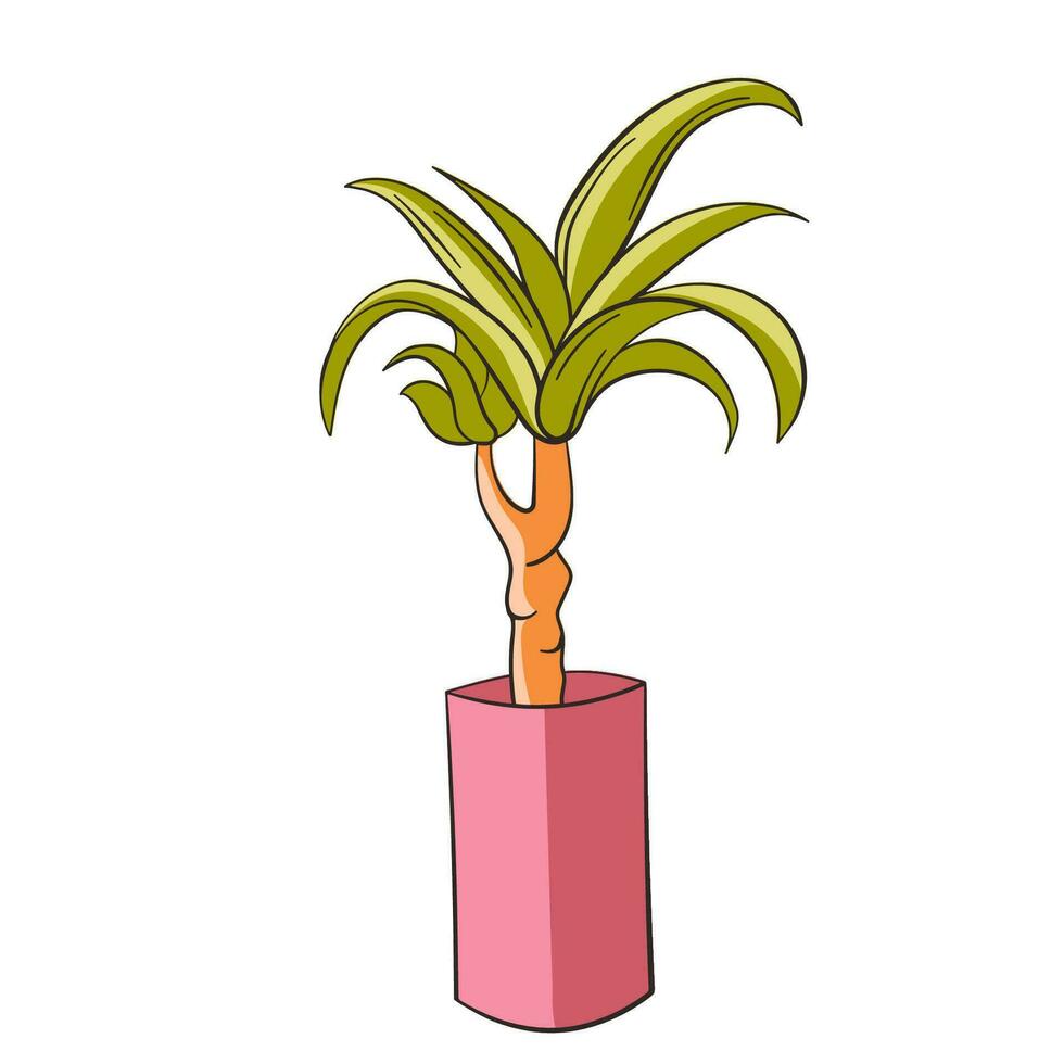 Home Dracena in a pot illustration. Flat style. Vector Dracena isolated on a white background.