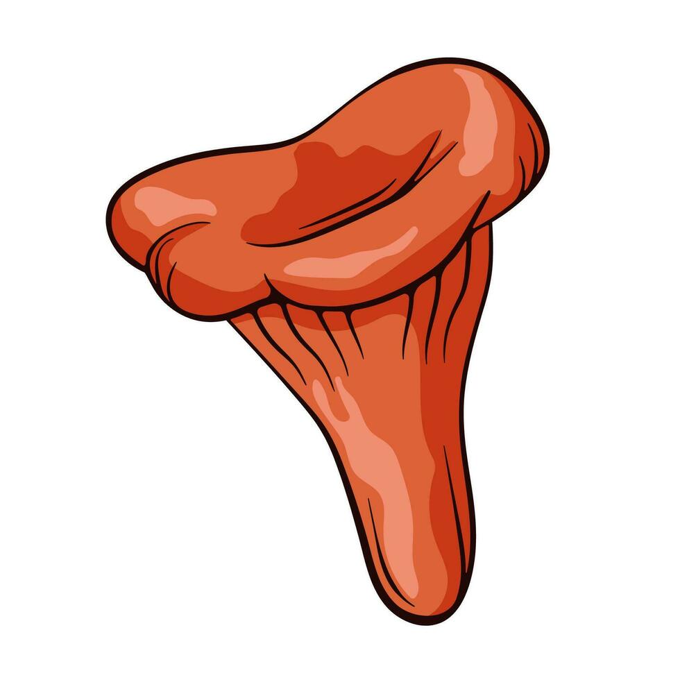 Niscalo mushroom in cartoon style. Hand drawn, sketch Lactarius deliciosus. Vector illustration isolated on a white background.