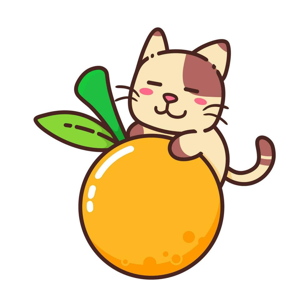 linda adorable contento marrón gato comer naranja Fruta jugoso comida naturaleza personaje dibujos animados garabatear vector ilustración plano diseño estilo