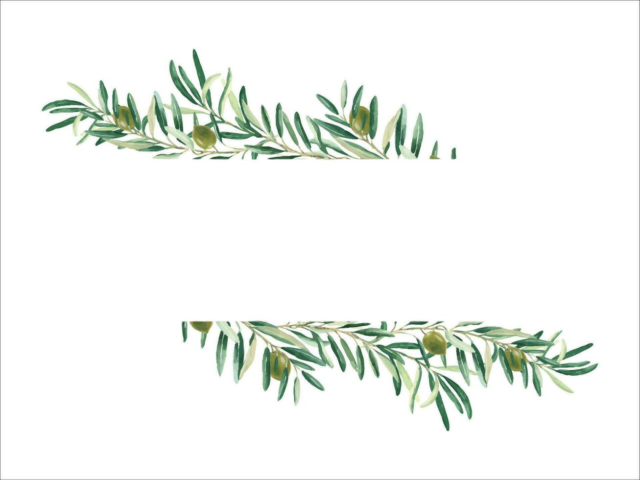 Horizontal frame, border with olive branches and green fruits. Watercolor hand drawn illustration. For cards, logos, banners, templates and cosmetic design. vector