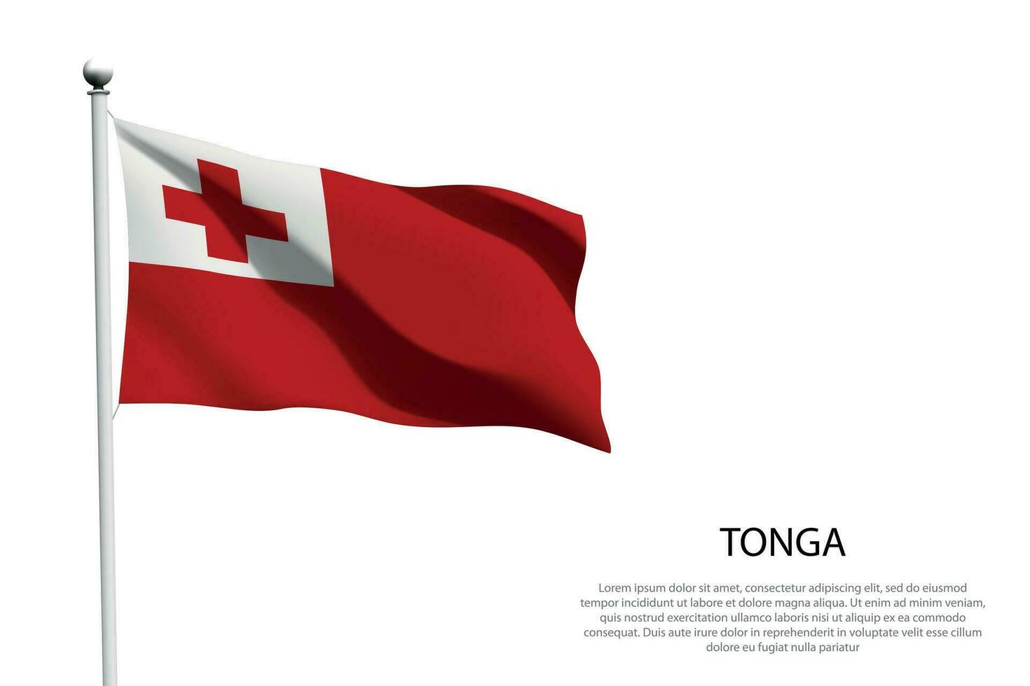 National flag Tonga waving on white background vector