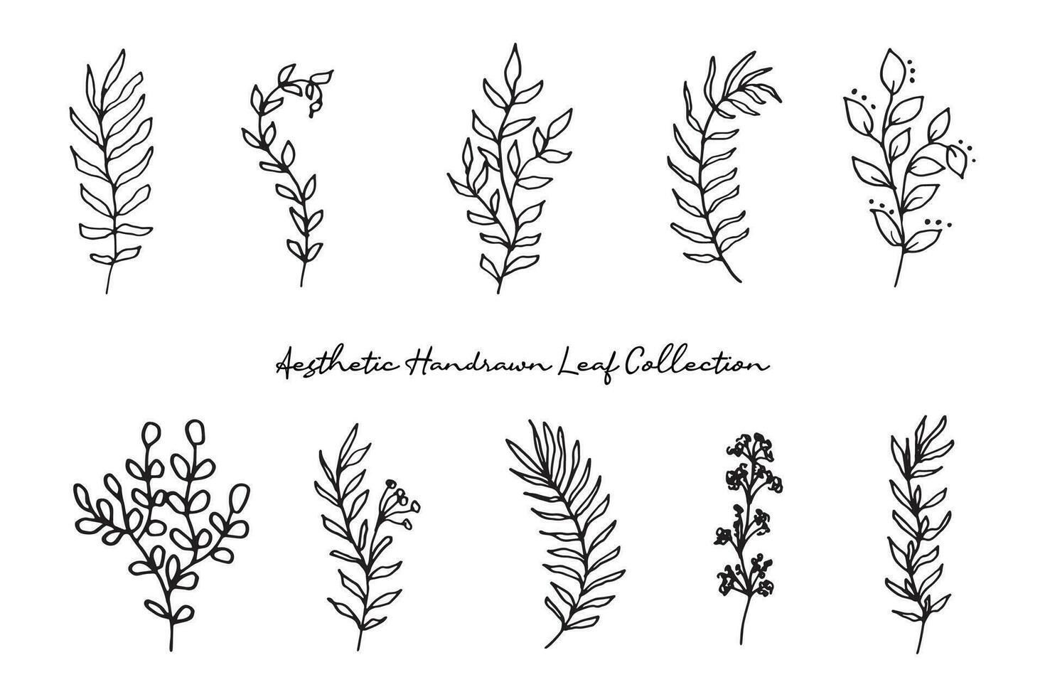 Aesthetic Leaf Line Drawing Collection vector